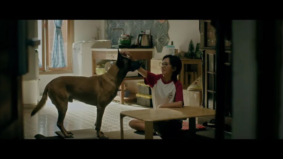 Cảnh trong phim Đồng hồ đếm ngược Cảnh trong phim Đồng hồ đếm ngược