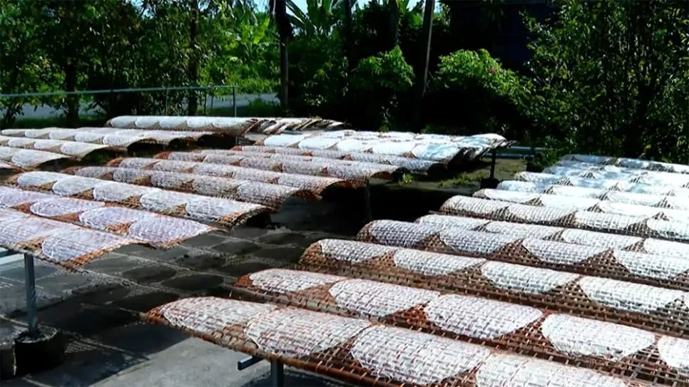 Làng nghề truyền thống Vĩnh Long vào xuân