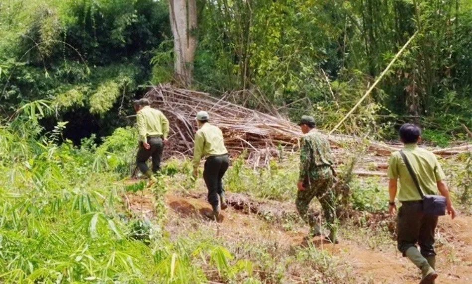 Công tác tuần tra bảo vệ rừng ở Đồng Nai