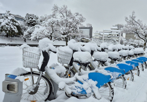 Tuyết rơi dày tại Nhật Bản ảnh hưởng tới đời sống người dân. Ảnh: MAYA WATANABE