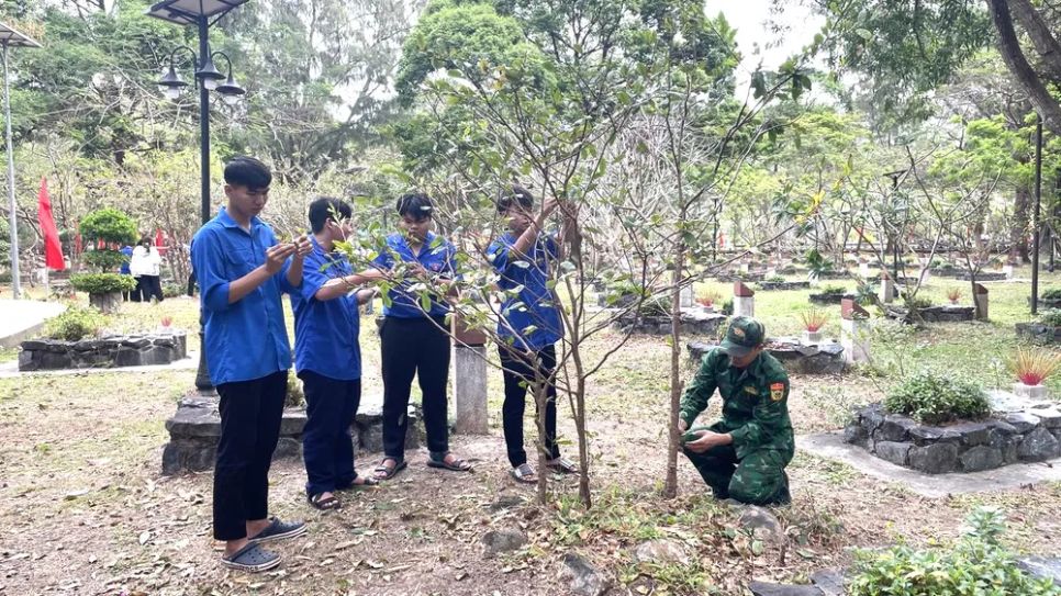 Chăm sóc cây mai trong khuôn viên nghĩa trang. Ảnh: TTVH CÔN ĐẢO