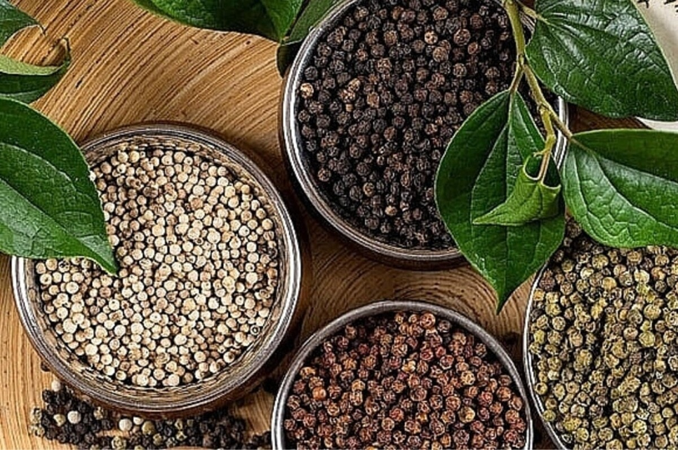 Ảnh minh họa Ảnh minh họa