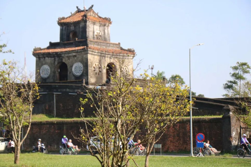 Hoàng mai Huế lỗi hẹn Tết Bính Ngọ