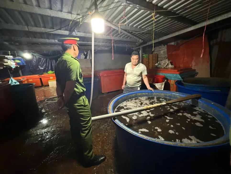 Triệt phá đường dây ngâm ốc bằng hóa chất tại TPHCM 