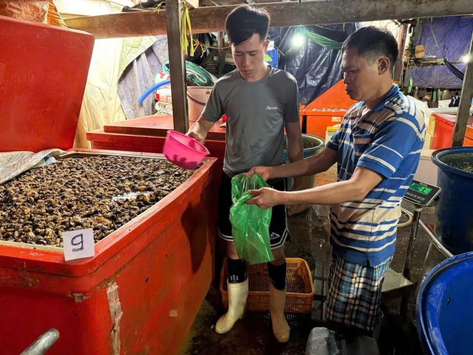 Triệt phá đường dây ngâm ốc bằng hóa chất tại TPHCM 