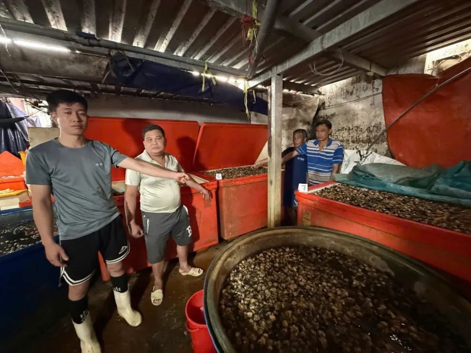 Triệt phá đường dây ngâm ốc bằng hóa chất tại TPHCM 