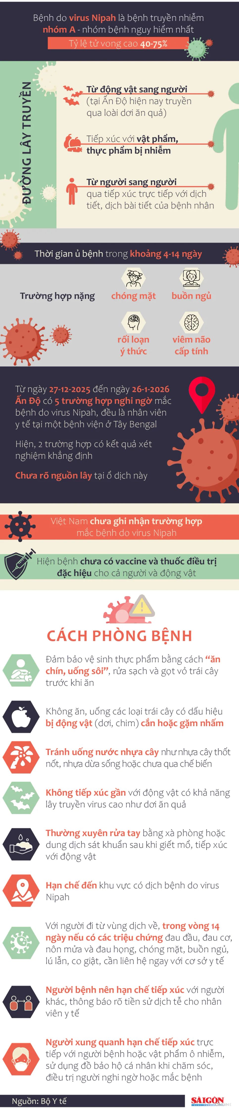 Bệnh truyền nhiễm nguy hiểm do virus Nipah - Những khuyến cáo cần biết