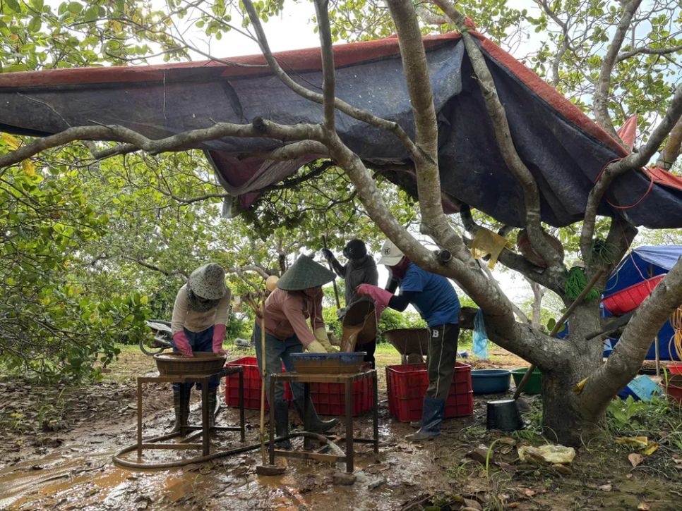 Sàng lọc các hiện vật