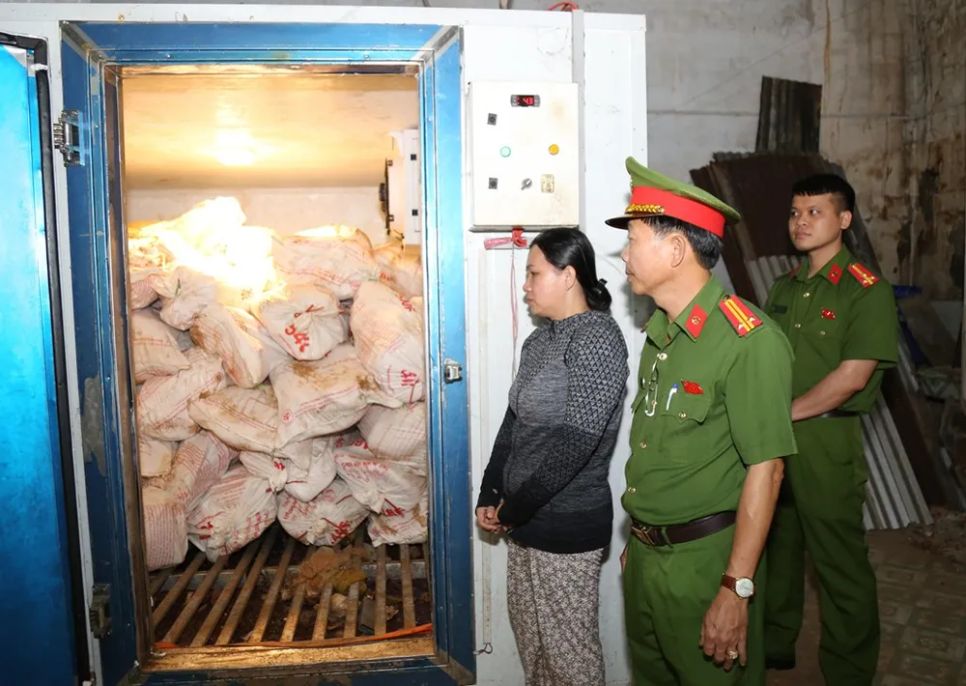 Bị can Lê Thị Bích Phượng cùng số tang vật. Ảnh: CATĐN