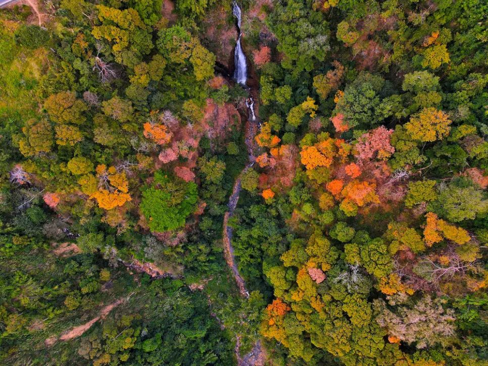 Rực rỡ sắc màu trên cung đường đèo Măng Đen