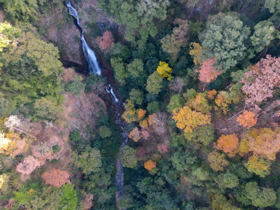 Rực rỡ sắc màu trên cung đường đèo Măng Đen