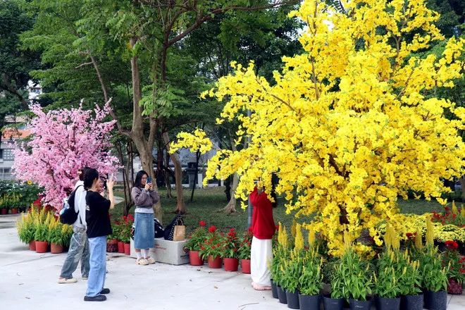 TPHCM khoe sắc mới đón Tết Nguyên đán TPHCM khoe sắc mới đón Tết Nguyên đán