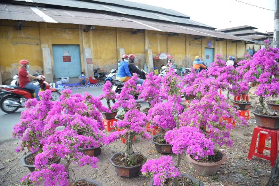 TPHCM: 400 gian hàng tái hiện không gian Tết 'trên bến dưới thuyền'