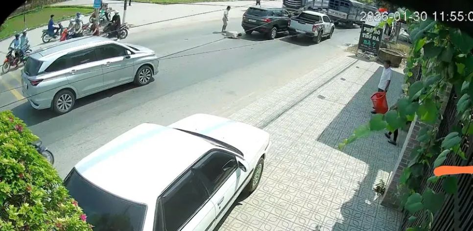 Hiện trường vụ việc. Ảnh cắt từ video Hiện trường vụ việc. Ảnh cắt từ video