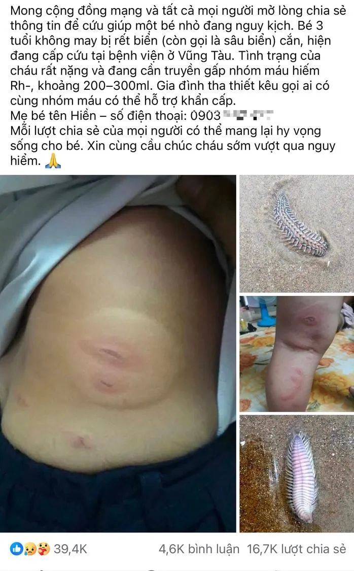 Thông tin này đã nhận về hàng chục ngàn lượt chia sẻ trên mạng xã hội Thông tin này đã nhận về hàng chục ngàn lượt chia sẻ trên mạng xã hội