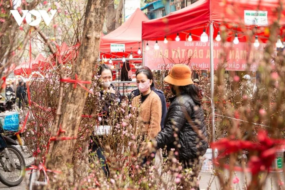 <p>Chợ hoa ngày nay vẫn chủ yếu bày bán hoa đào, song mẫu mã ngày càng đa dạng, từ đào huyền, đào thất thốn đến nhiều dáng thế khác nhau.</p>