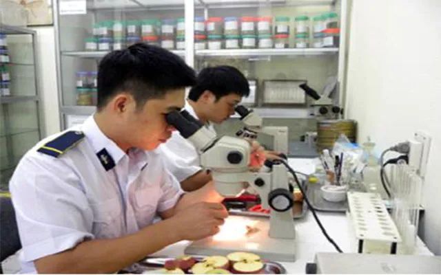 Kiểm nghiệm nông sản, hoa quả nhập khẩu