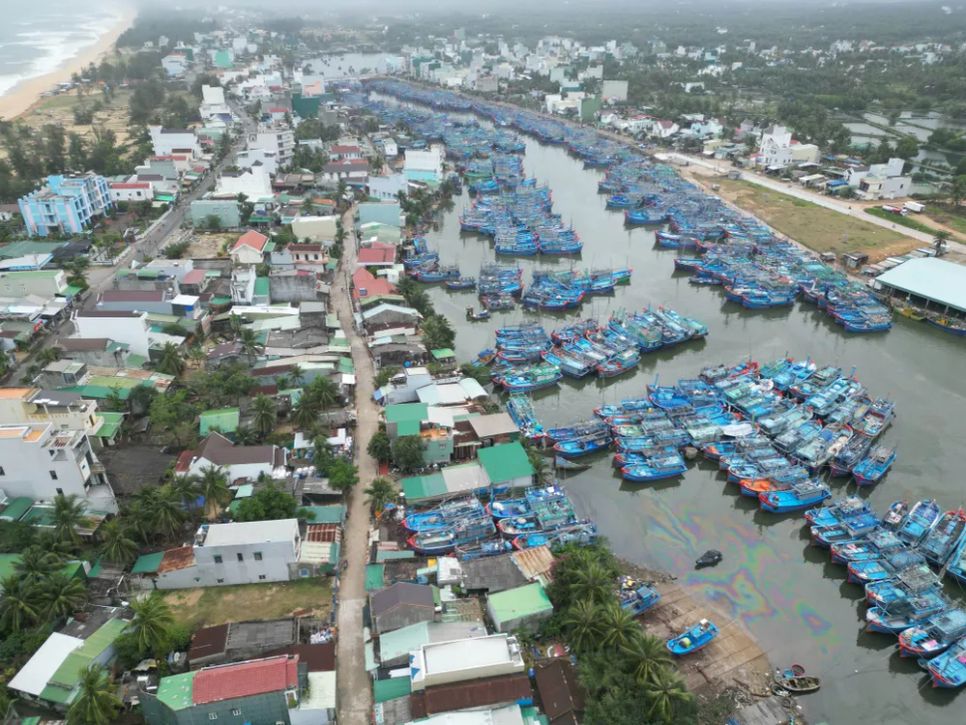Hàng trăm tàu câu cá ngừ đại dương về bến, chuẩn bị đón Tết Nguyên đán