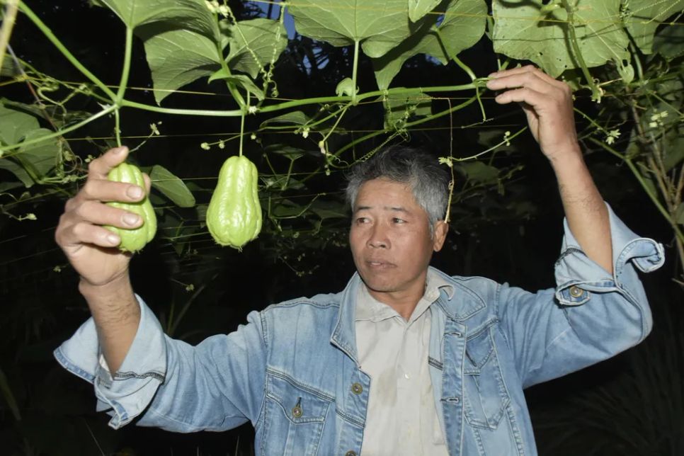 Du khách nườm nượp 'check-in' núi Cấm