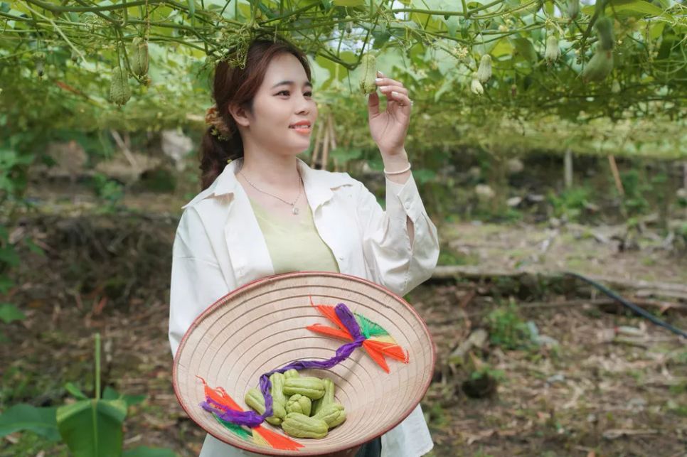 Du khách nườm nượp 'check-in' núi Cấm