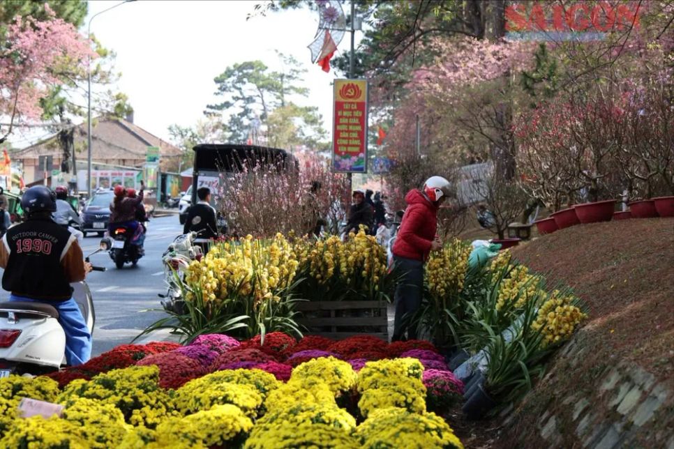 Hoa tết nườm nượp xuống phố Đà Lạt