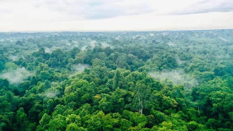 Khoảnh khắc cuối mùa đông