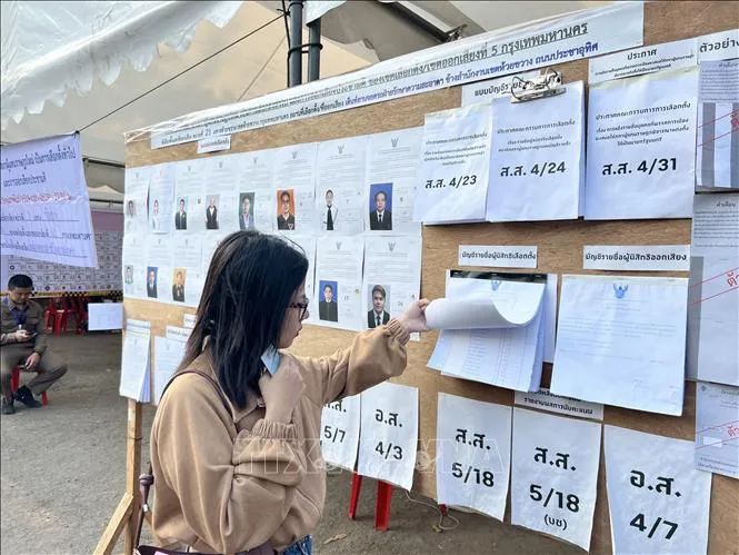 Một cử tri trẻ tuổi tìm hiểu thông tin về các ứng cử viên được giới thiệu tại điểm bầu cử. Ảnh: TTXVN