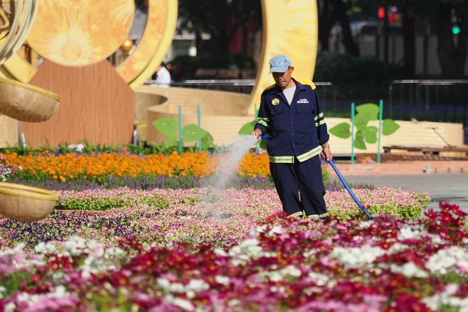 Công nhân vừa thi công, hoàn thiện các hạng mục trang trí, vừa chăm sóc hoa kiểng trên tuyến đường Nguyễn Huệ, bảo đảm tiến độ và chất lượng không gian xuân Bính Ngọ 2026. Ảnh: HOÀNG HÙNG