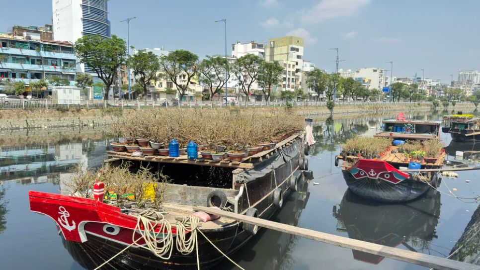 Ghe thuyền vận chuyển hoa kiểng tết từ miền Tây cập Bến Bình Đông (TPHCM). Ảnh: ĐÌNH DƯ