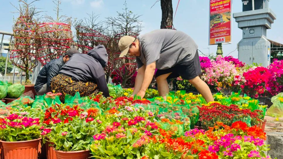 Nhà vườn sắp xếp hoa kiểng tại gian hàng được địa phương bố trí để bán. Ảnh: ĐÌNH DƯ