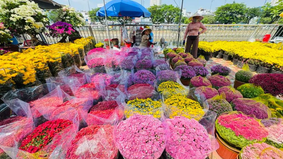 Nhà vườn tập kết các loại cúc mâm xôi, vạn thọ, mào gà, ớt kiểng và nhiều loại cây cảnh khác, sẵn sàng phục vụ thị trường tết. Ảnh: ĐÌNH DƯ