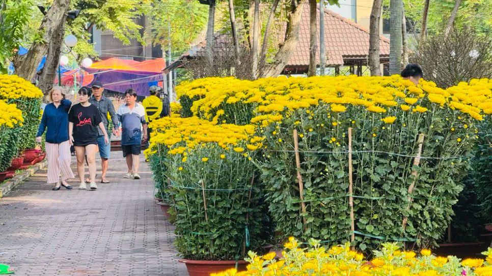 Người dân tham quan, dò giá. Ảnh: ĐÌNH DƯ