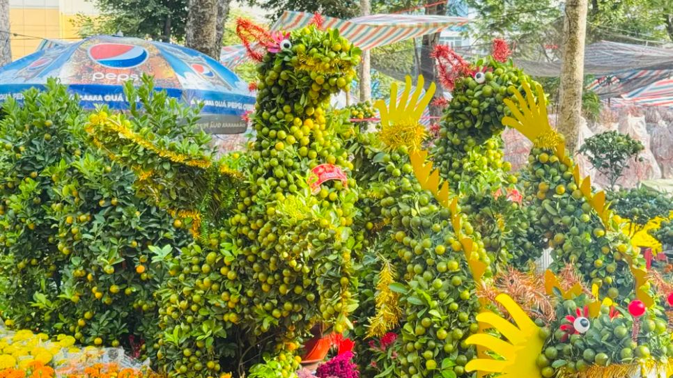 TPHCM: Hoa kiểng đổ về công viên 23 tháng 9