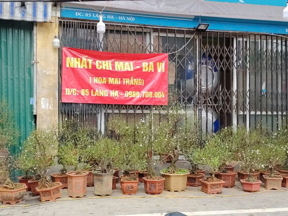 Ảnh: QUỐC KHÁNH