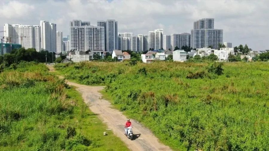 Một khu đất tại TPHCM. Ảnh: HOÀNG HÙNG