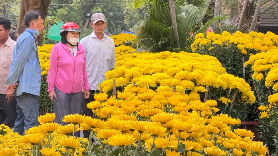 Các tiểu thương kinh doanh hoa kiểng mong sẽ có nhiều khách đến mua trong những ngày tới. Ảnh: ĐÌNH DƯ