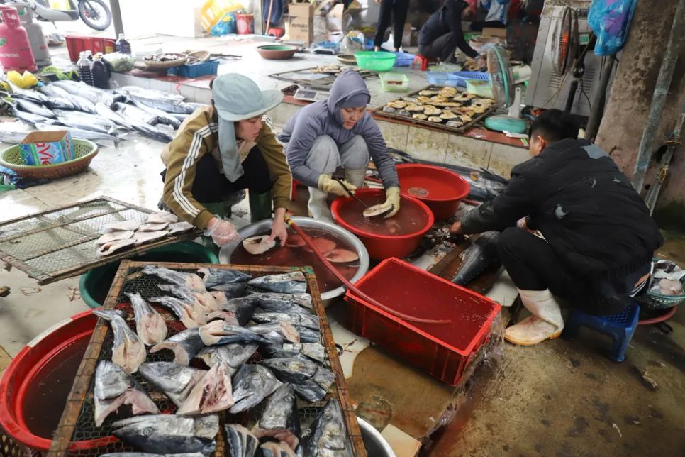 Thơm lừng cá nướng Cửa Lò những ngày cận tết