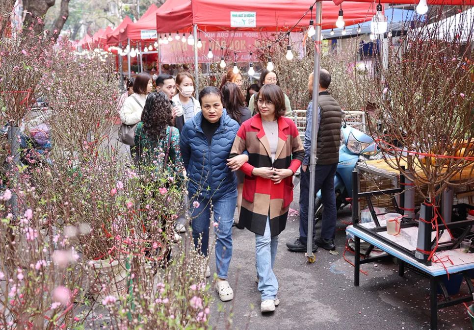 Du khách và người dân thủ đô du xuân, mua sắm hoa, cây cảnh tại chợ hoa Hàng Lược, ngày 11-2 (ngày 24 tháng Chạp năm Ất Tỵ). ẢNH: QUANG PHÚC