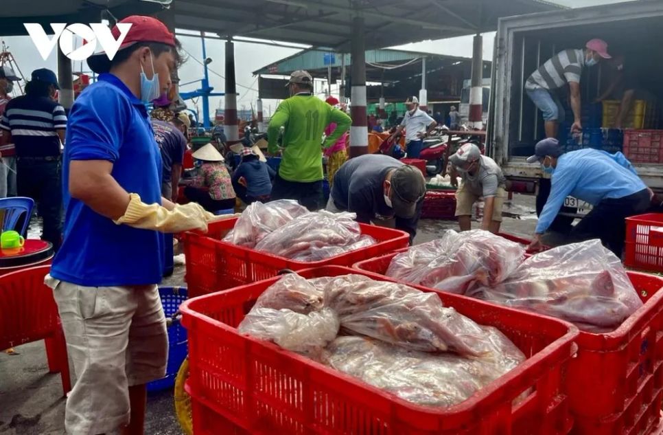 Ngư dân vùng biển TPHCM đón Tết đầu tiên ở siêu đô thị