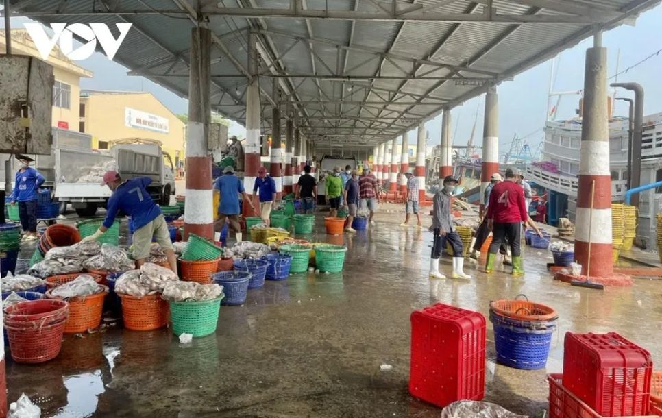 Ngư dân vùng biển TPHCM đón Tết đầu tiên ở siêu đô thị