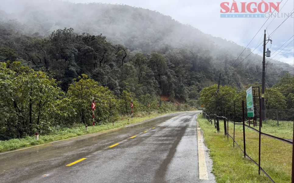 Khu vực trên cách không xa quốc lộ 27C (nối 2 khu vực Đà Lạt - Nha Trang), thuận lợi cho các hoạt động nghiên cứu, du lịch trải nghiệm. Ảnh: ĐOÀN KIÊN