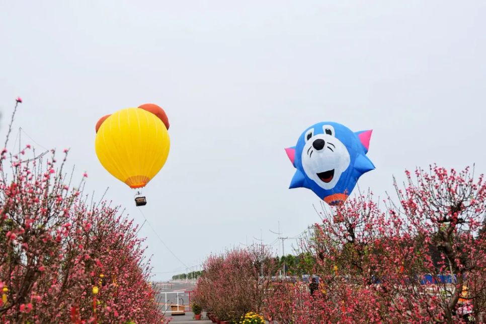 Ngắm nhìn và check-in dàn khinh khí cầu rực rỡ sắc màu giữa không gian lễ hội Green Paradise Tet Fest