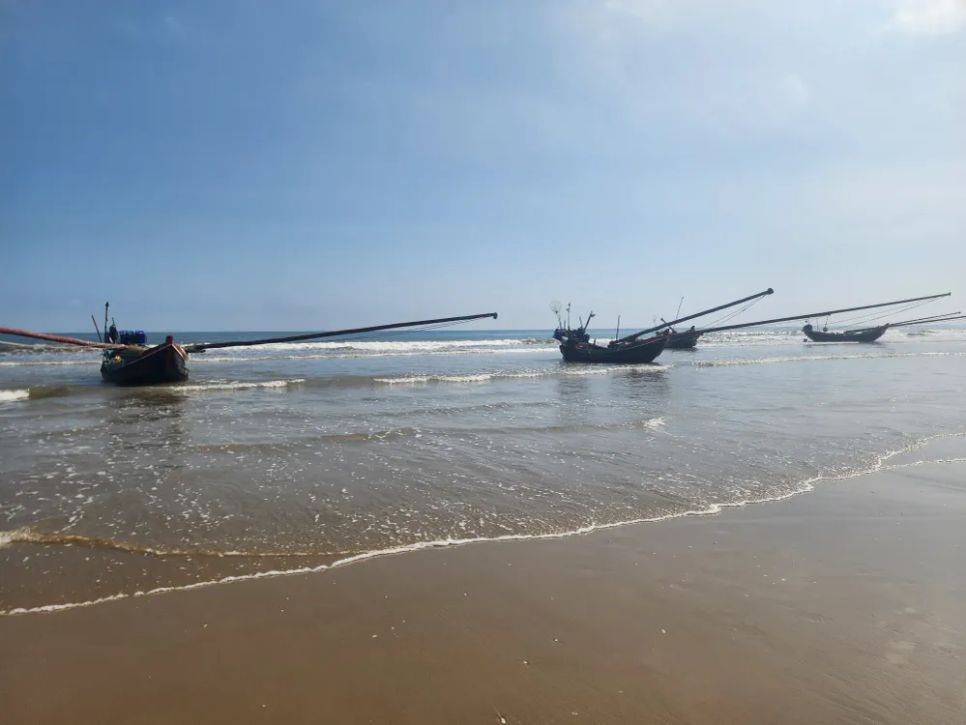 Các tàu chuyên đánh bắt ruốc biển vào cập bờ biển xã Đồng Tiến