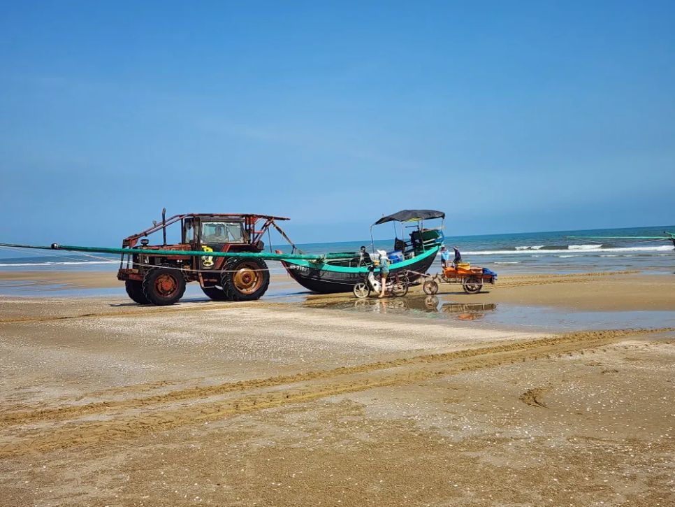 Ngư dân trúng đậm ruốc biển ngày cận tết