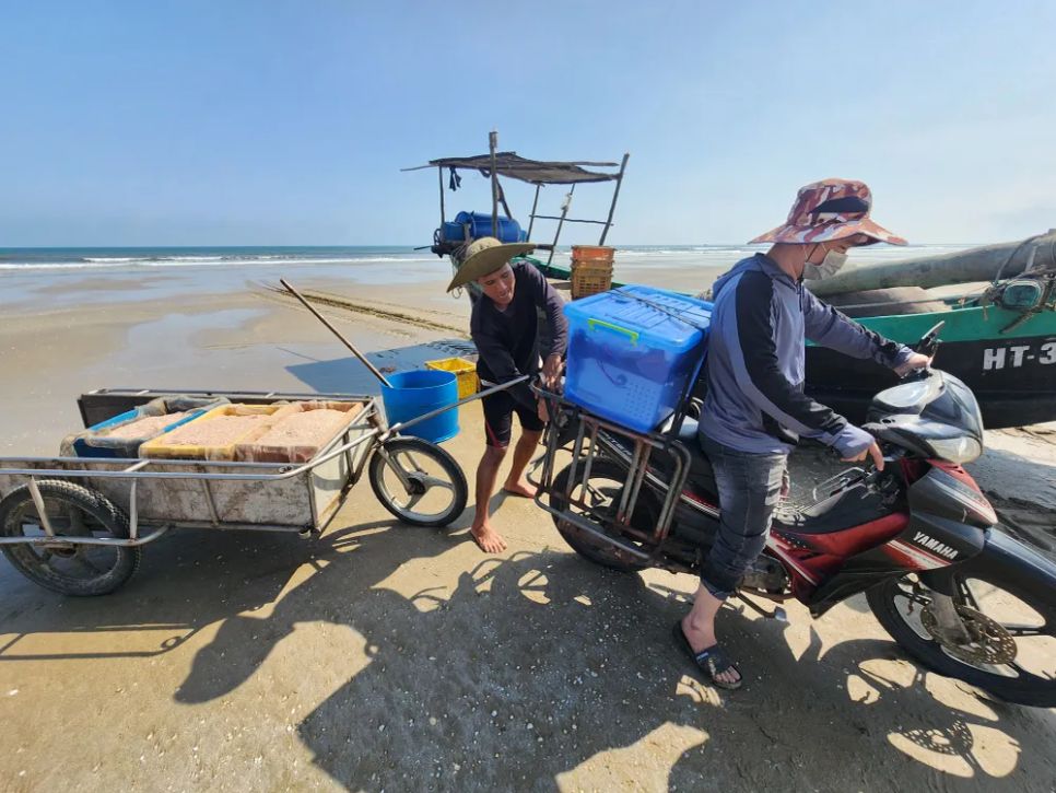 Sau khi vào bờ, ngư dân chở ruốc đến địa điểm tiêu thụ