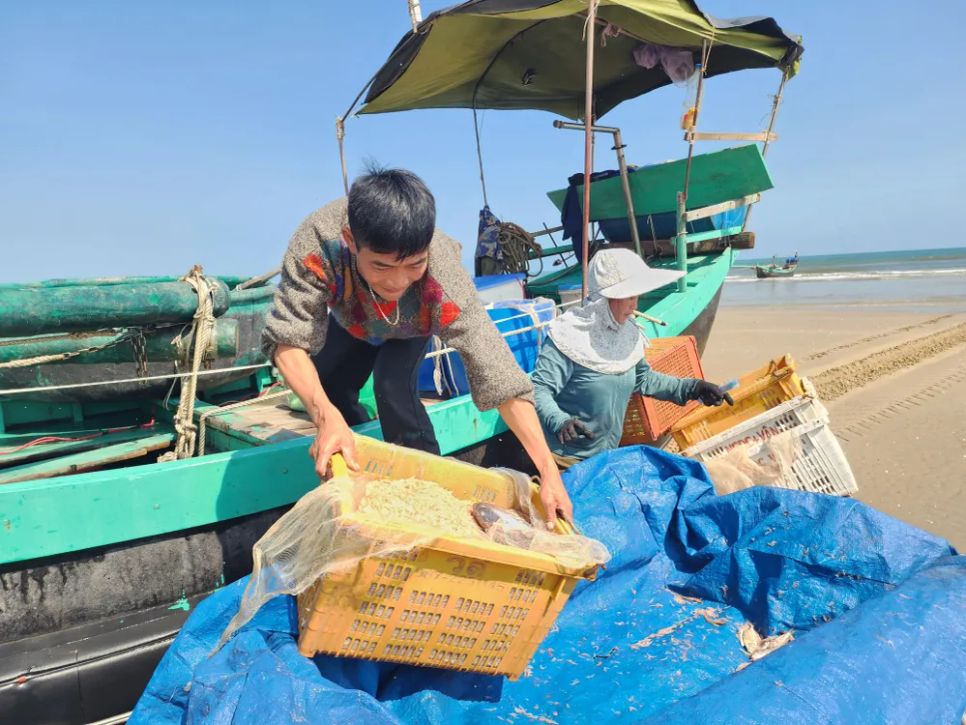 Tàu chở ruốc vào cập bờ