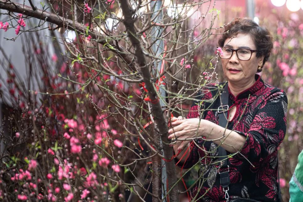 Chợ hoa Xuân phố cổ là nơi người dân tìm về thú chơi hoa tao nhã và không khí xuân xưa