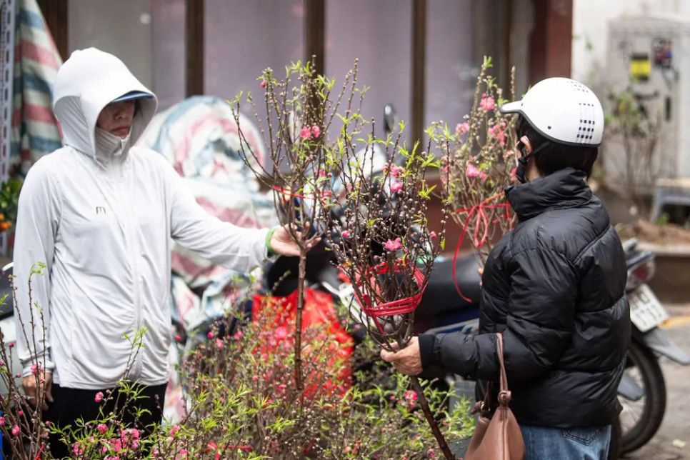 Chợ hoa Xuân phố cổ Hà Nội đón 30.000 lượt khách 