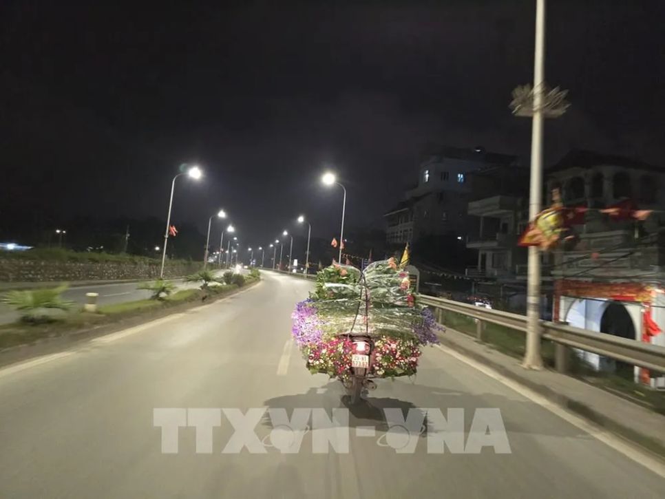 Đêm không ngủ tại chợ hoa Tết Quảng An Hà Nội