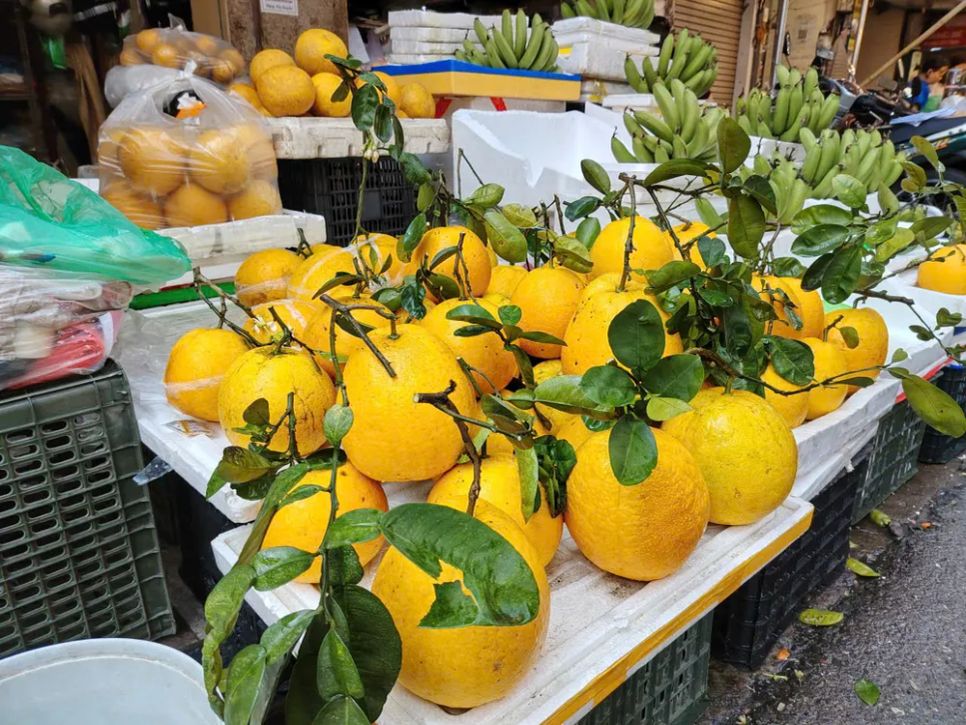 Bưởi Diễn còn nguyên cành để sắp mâm ngũ quả được bày bán tại chợ Hàng Bè. Ảnh: QUỐC KHÁNH